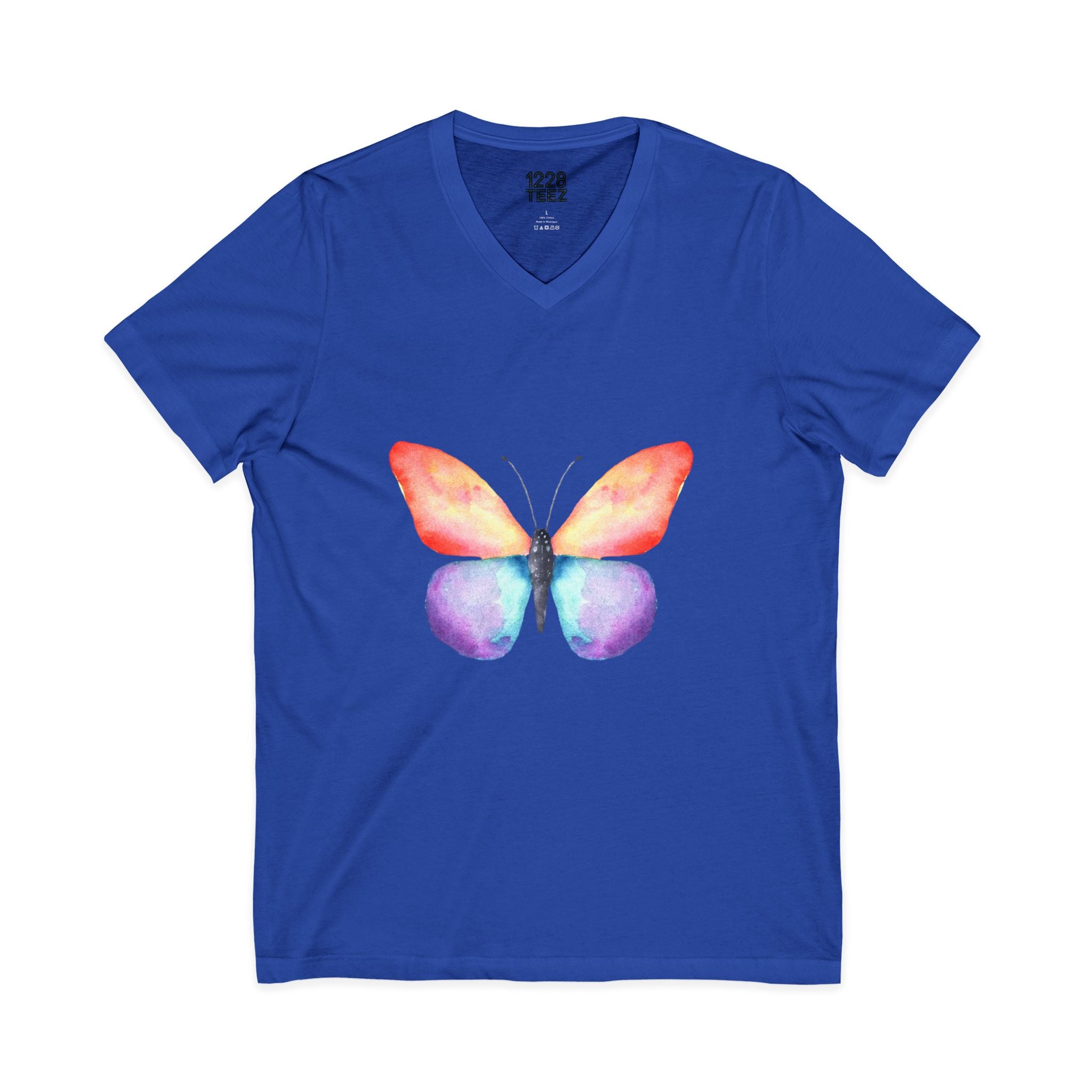 Rainbow Butterfly