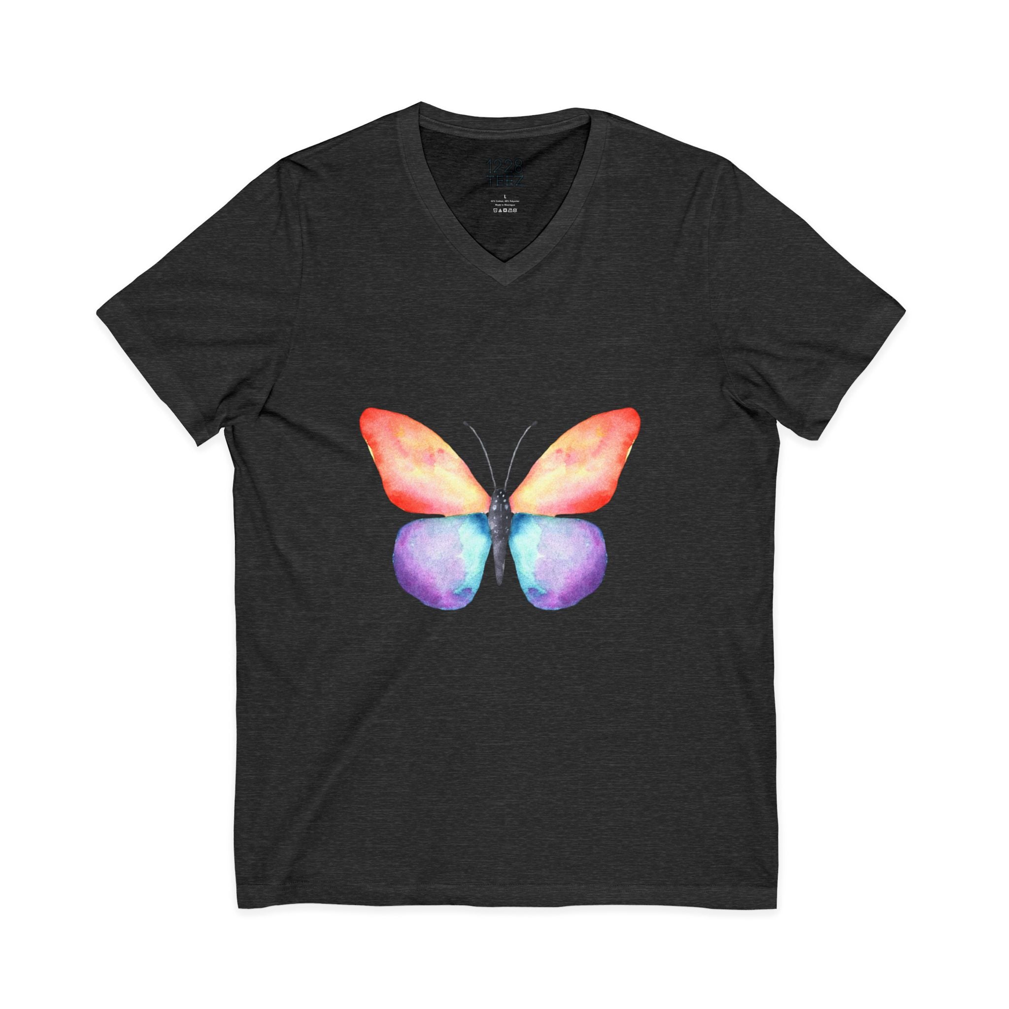 Rainbow Butterfly