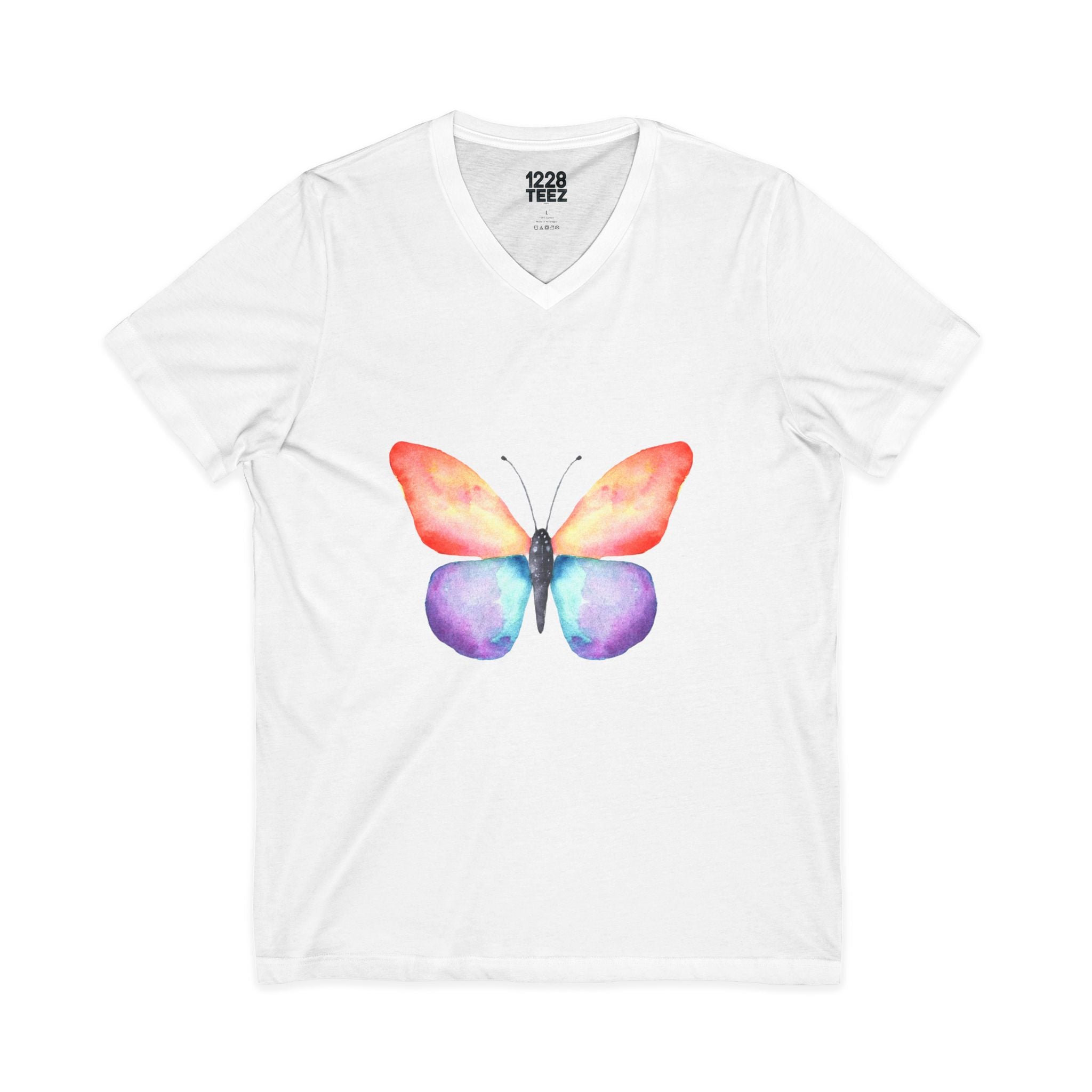 Rainbow Butterfly