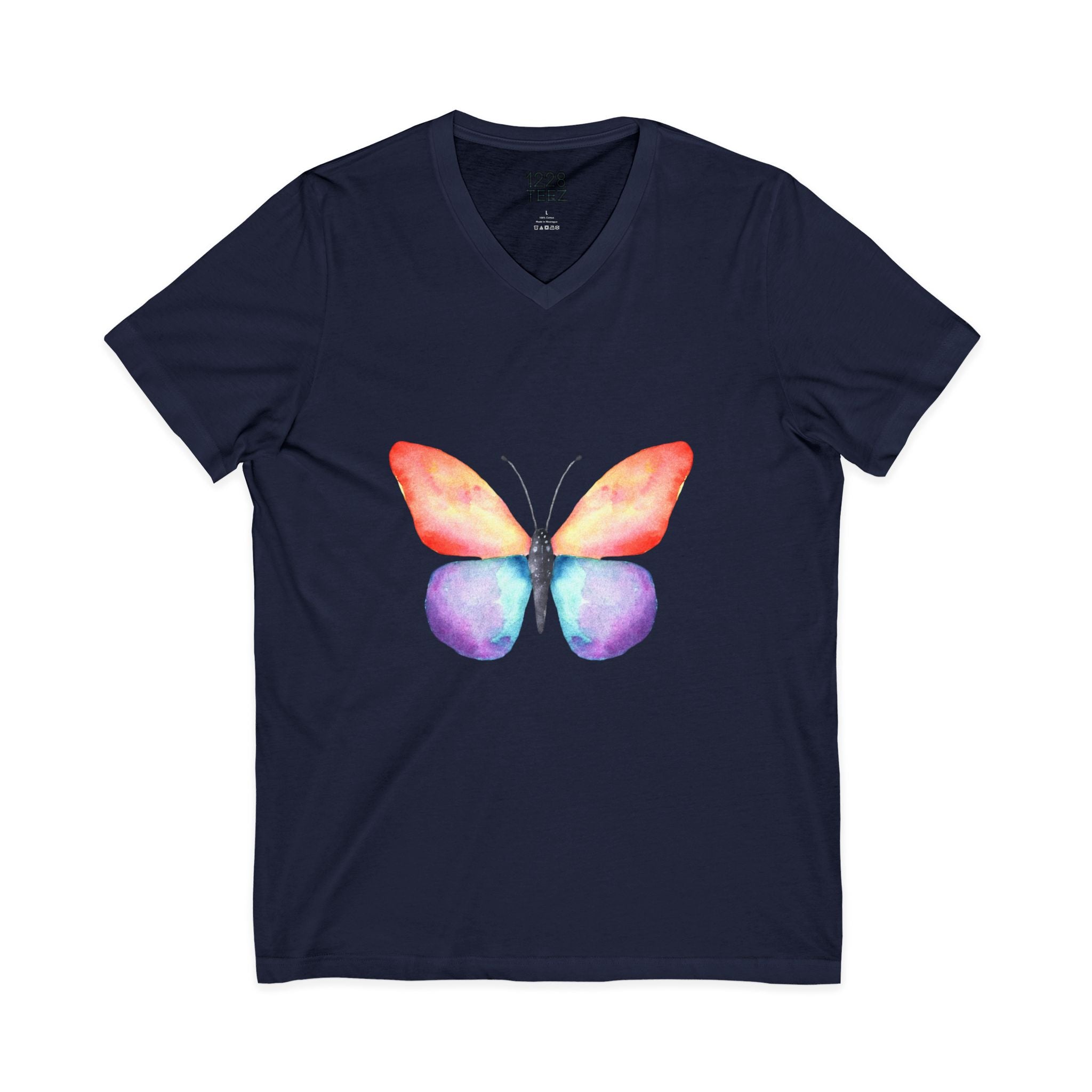 Rainbow Butterfly