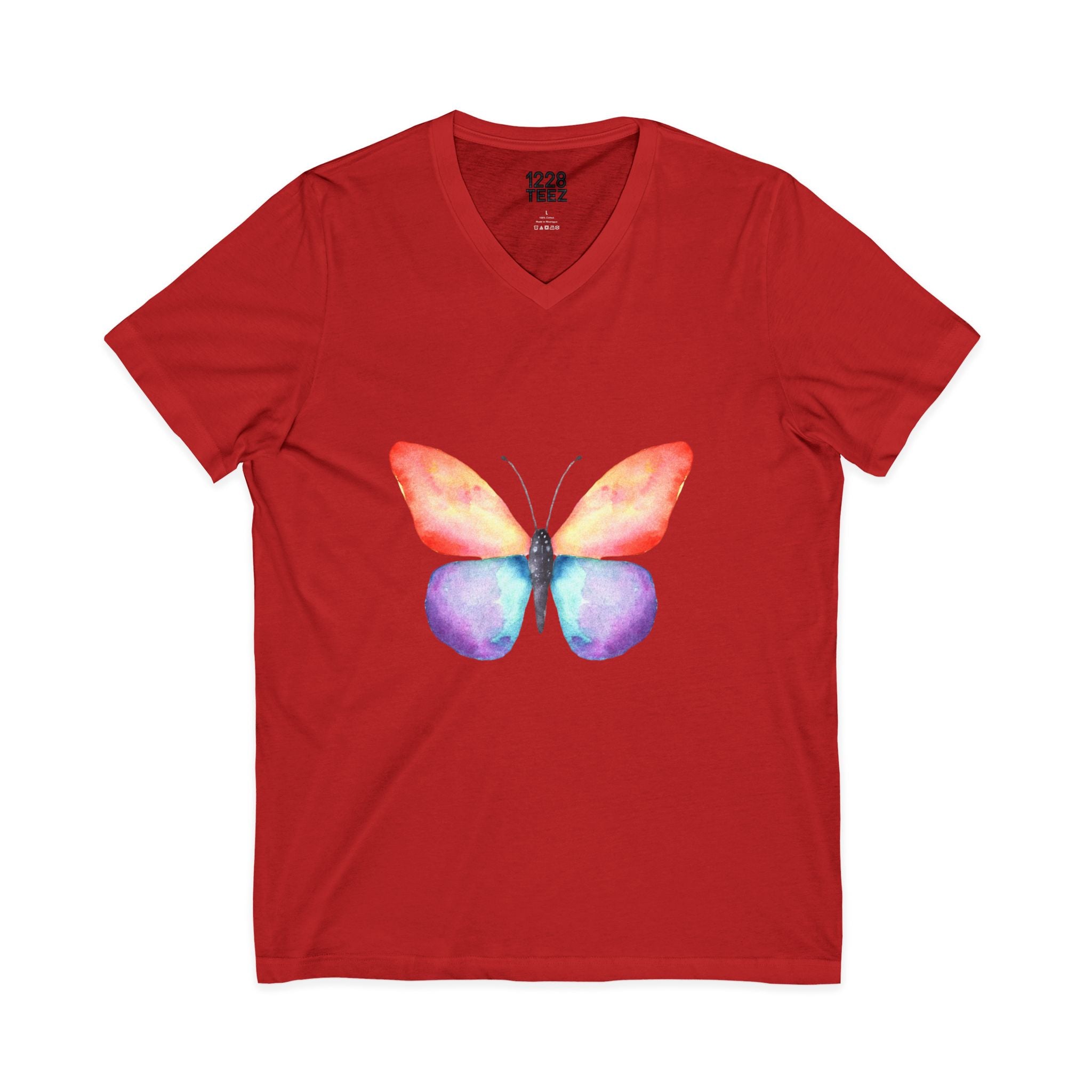 Rainbow Butterfly