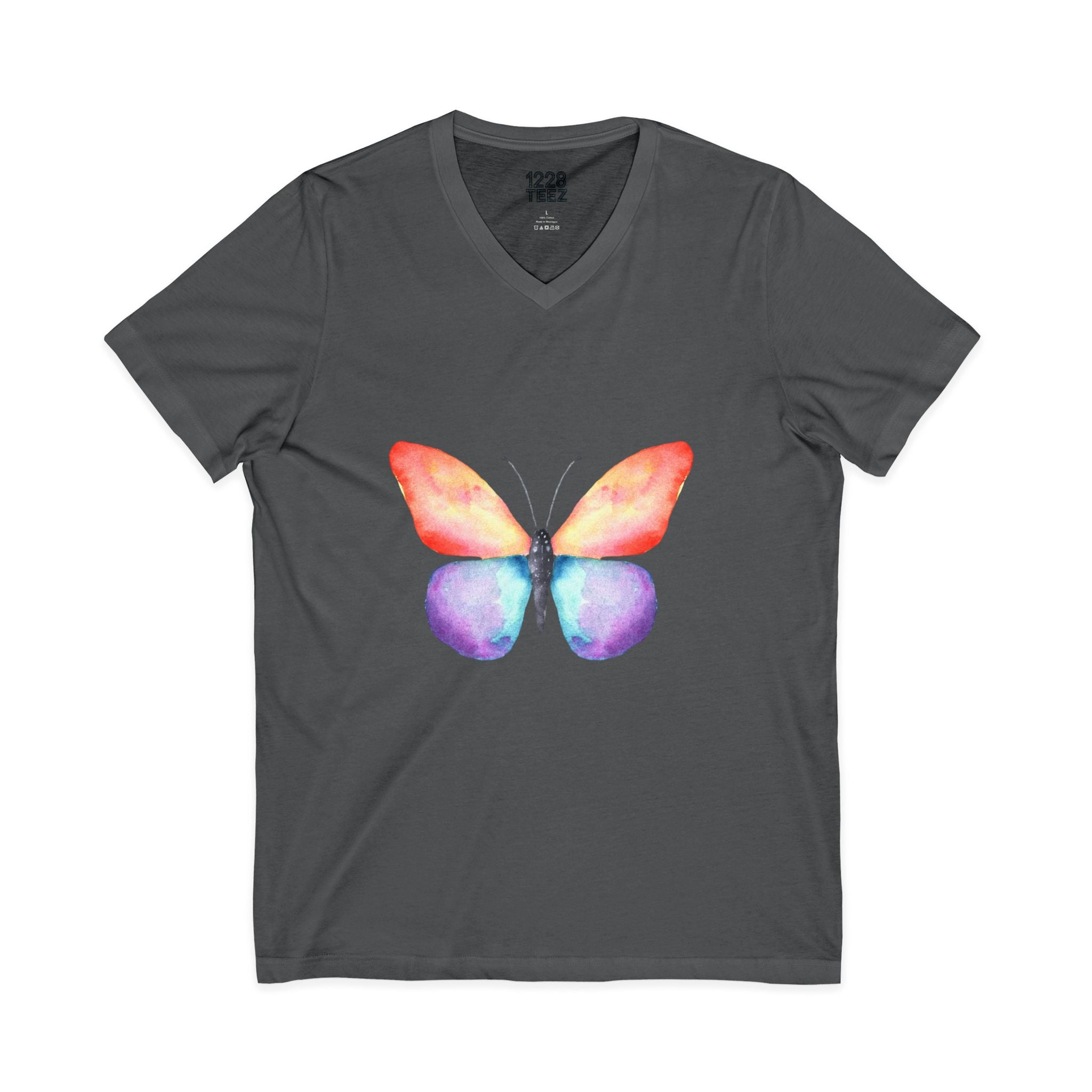 Rainbow Butterfly