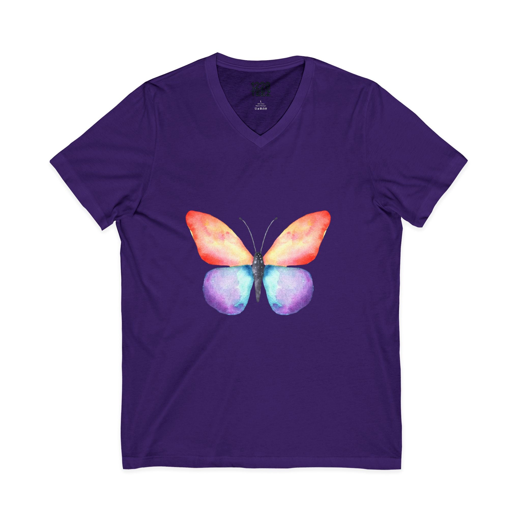 Rainbow Butterfly